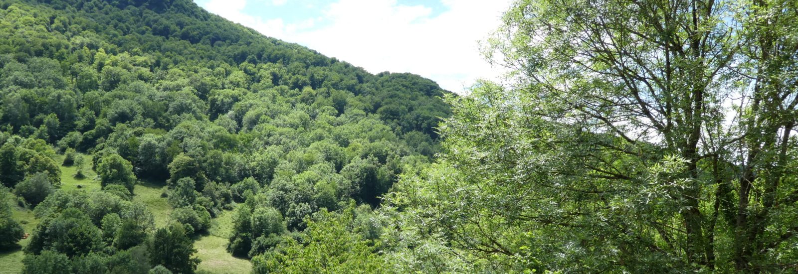 vue de la residence ecriture faucon deux